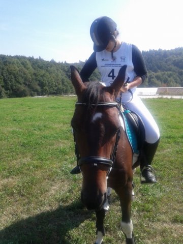 Rajd Minoga 2015